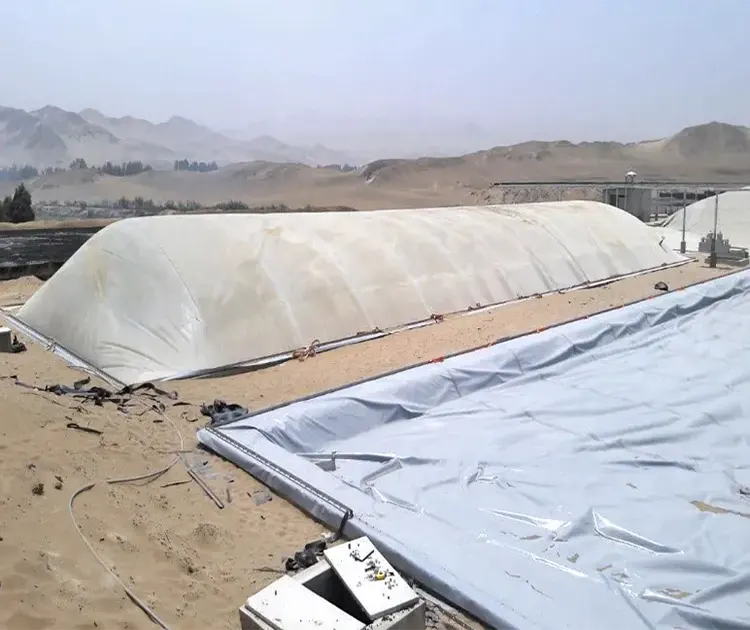 Biodigestores