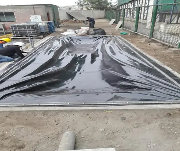 Biodigestores