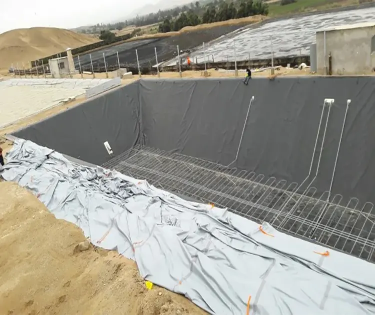 Biodigestores