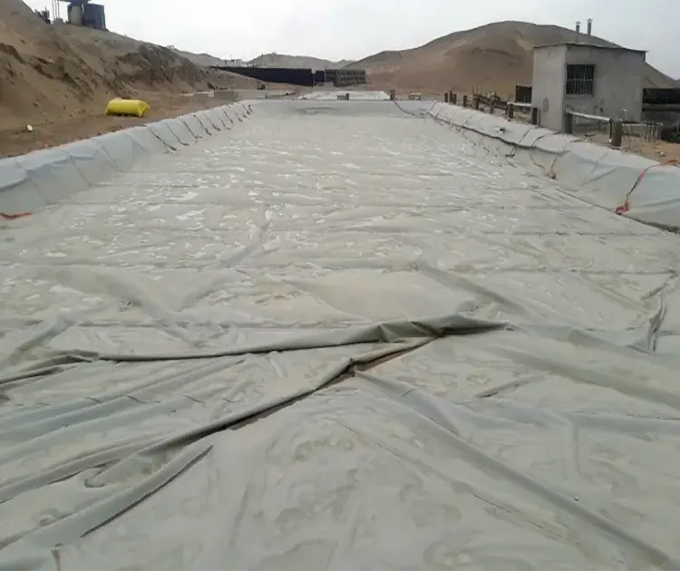 Biodigestores